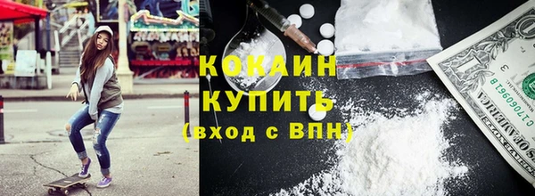 соль ск Абаза