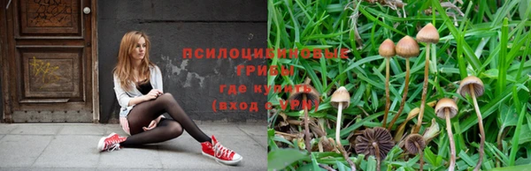 соль ск Абаза