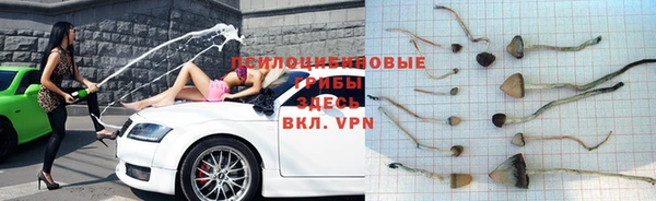 соль ск Абаза